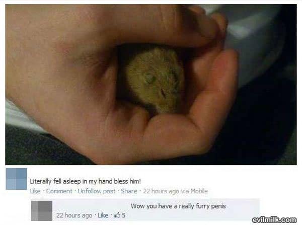 funny-funny-all-time