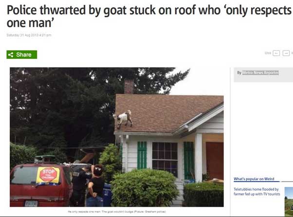 funny-goat-headline