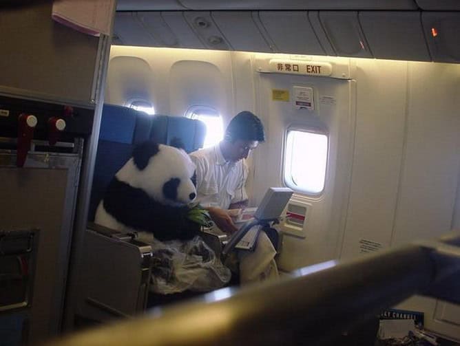 funny airplane pics