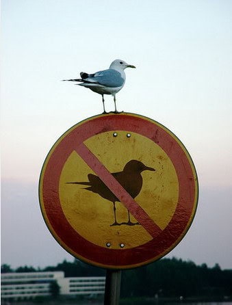 funny ironic gallery