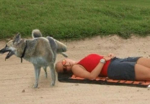 funny wrong place wrong time photos