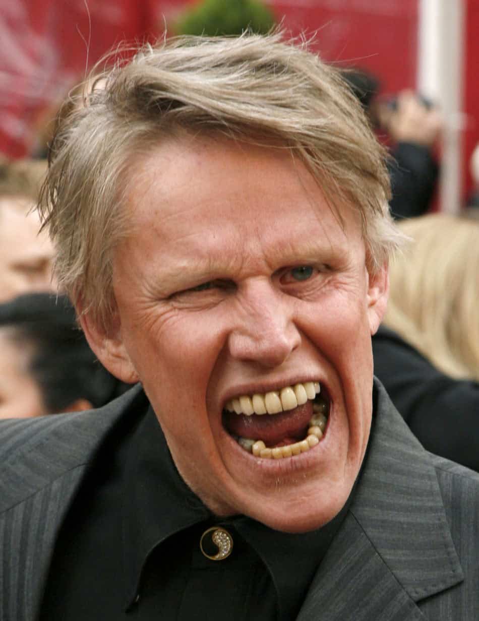 gary-busey-face