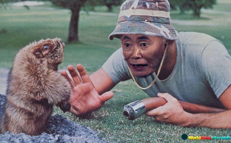 george-takei-every-movie