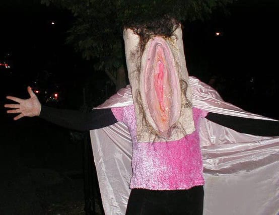 gina costume