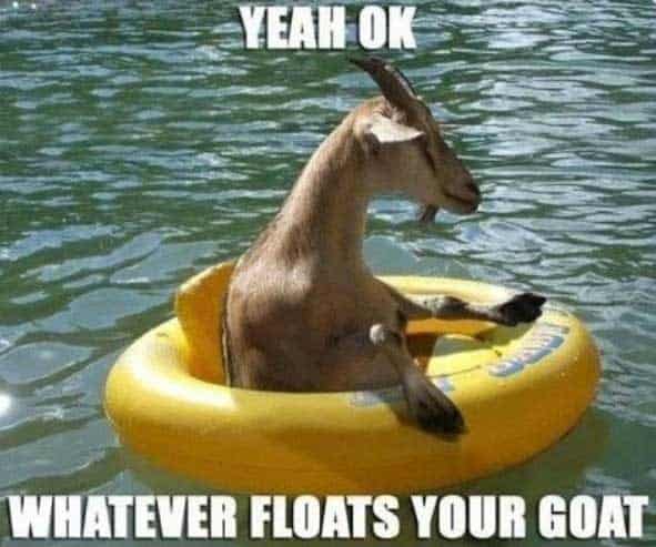 goat-memes-funny
