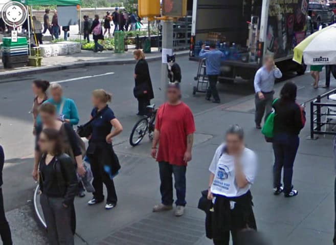 google street view cat