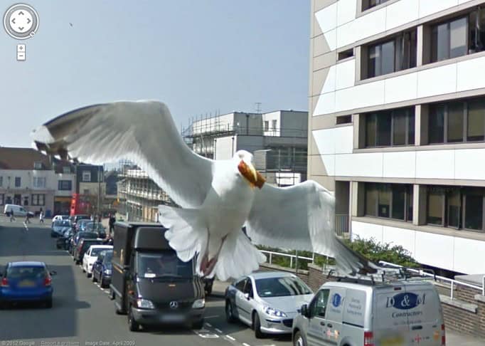 google street view fail