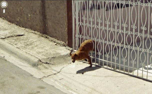 google street view weird