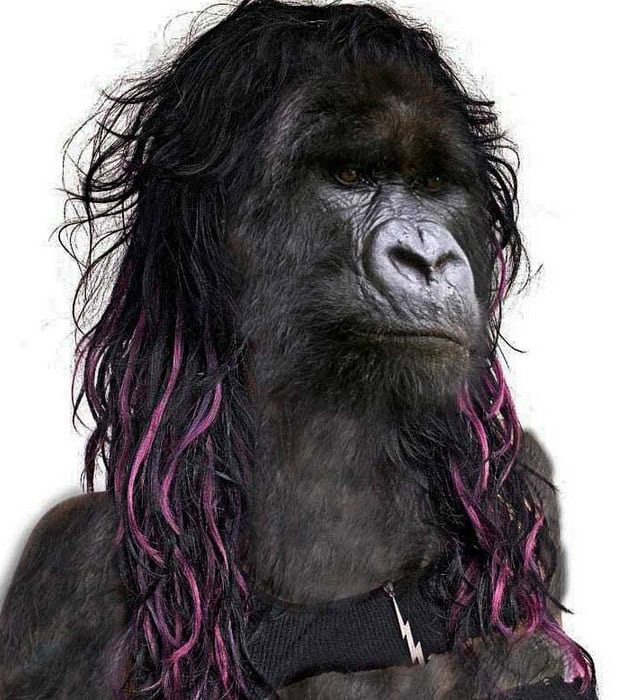 gorilla wig