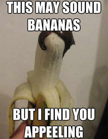 greatest-food-puns