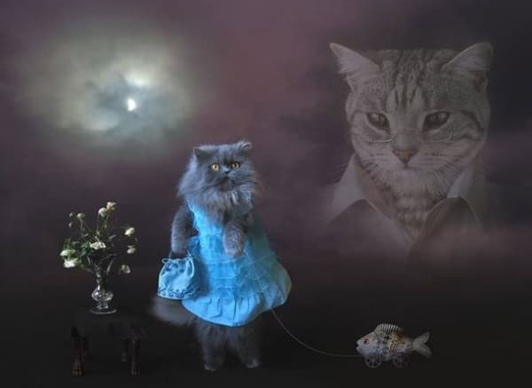 greatest pics ever