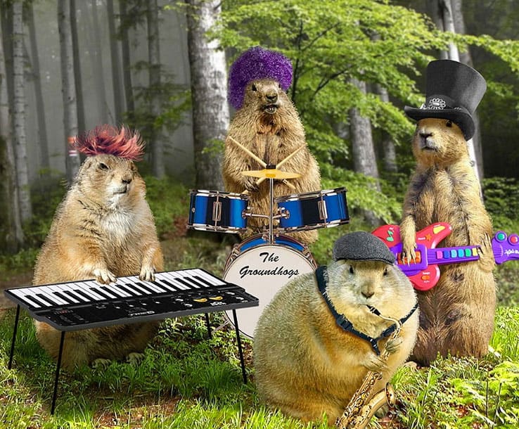groundhog-day-band