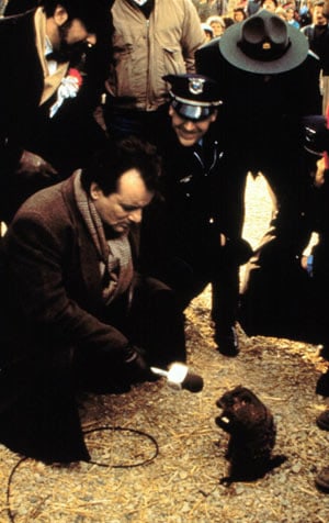 groundhog-day-behind-the-scenes
