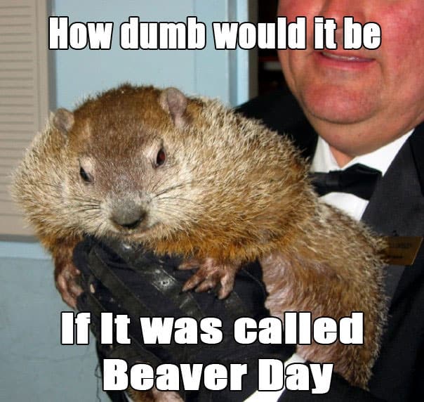 groundhog-day-meme