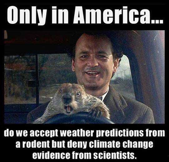 groundhog-day-memes