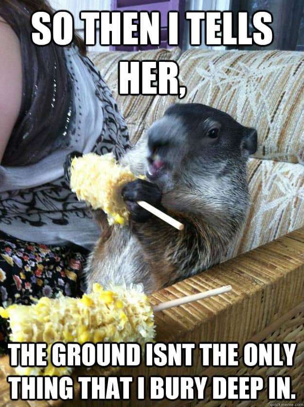 groundhog-meme