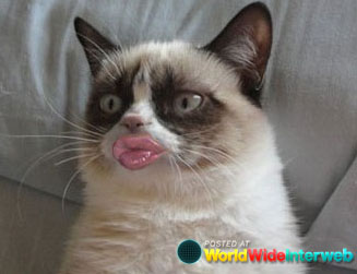 grumpy-cat-duckface