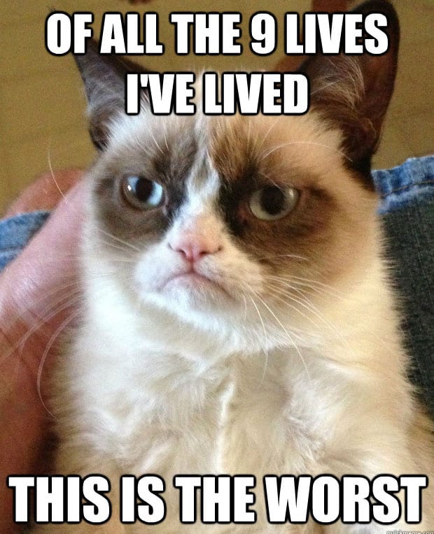 grumpy-cat-face