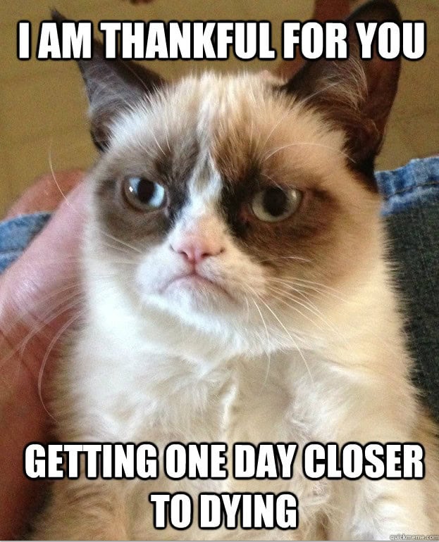 grumpy cat meme