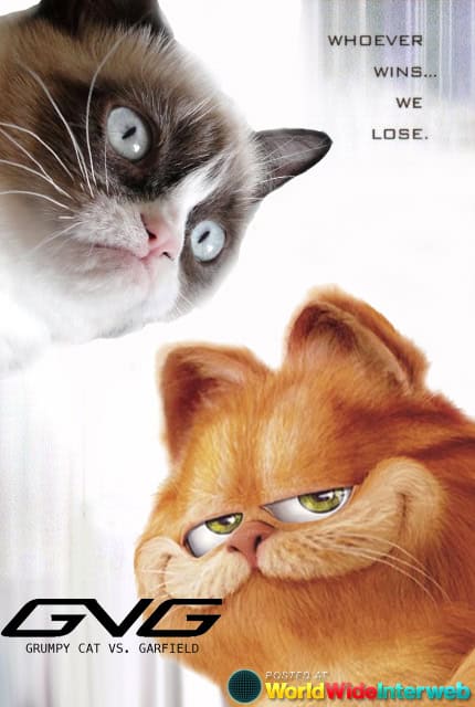 grumpy cat vs garfield