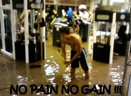 gym wtf