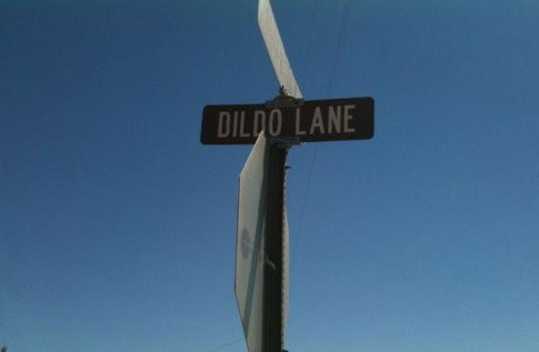 hilarious street name