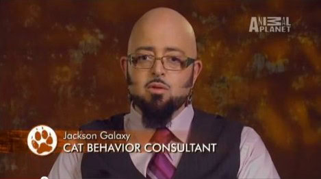 jackson galaxy