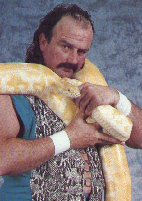 jake the snake roberts promo