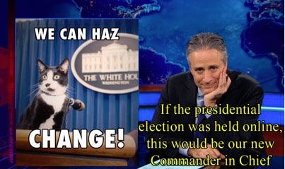jon-stewart-cat
