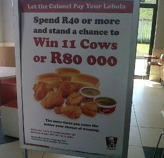 kfc cows