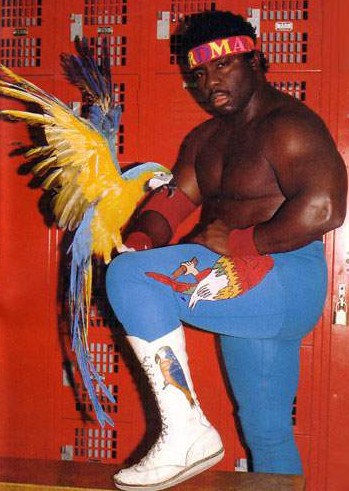 koko b ware