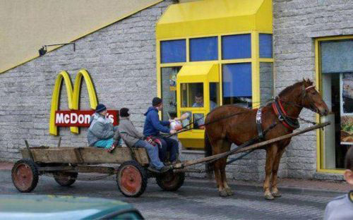 mcdonalds-horse