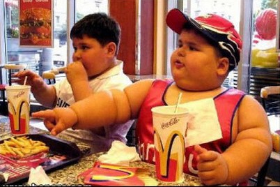 mcdonalds fat