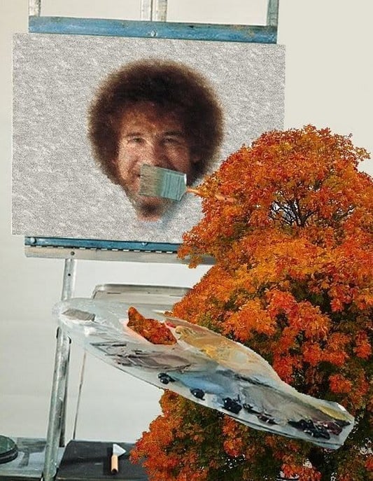 meanwhile in a parallel universe funny pics