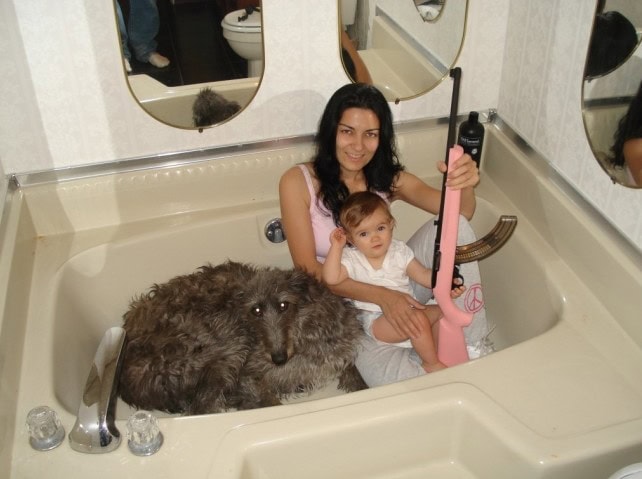 mom fail