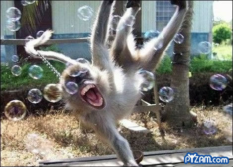 monkey-bubbles