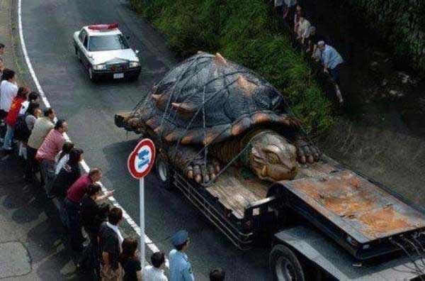 most-viral-pics-ever