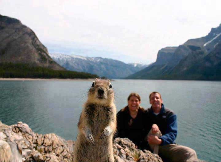 most-viral-pictures-of-all-time
