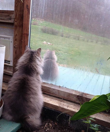 must-be-glitch-matrix