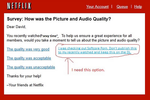 netflix-busted