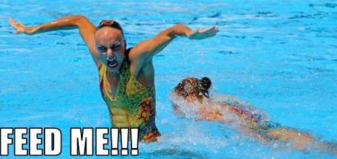 olympics funny gallery