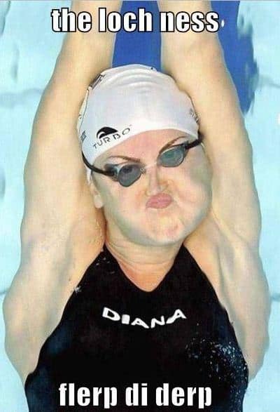 olympics swimming gallery