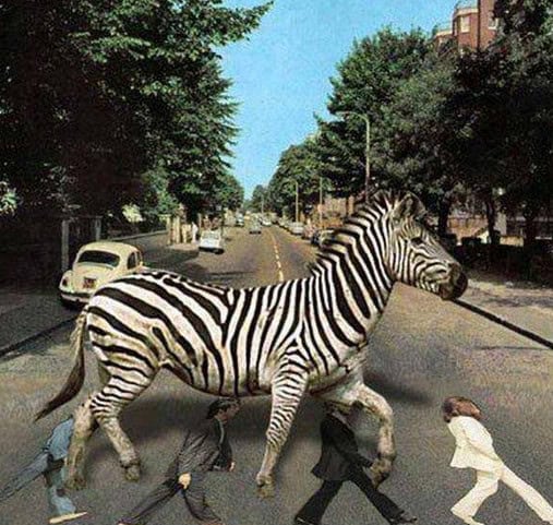 parallel universe music