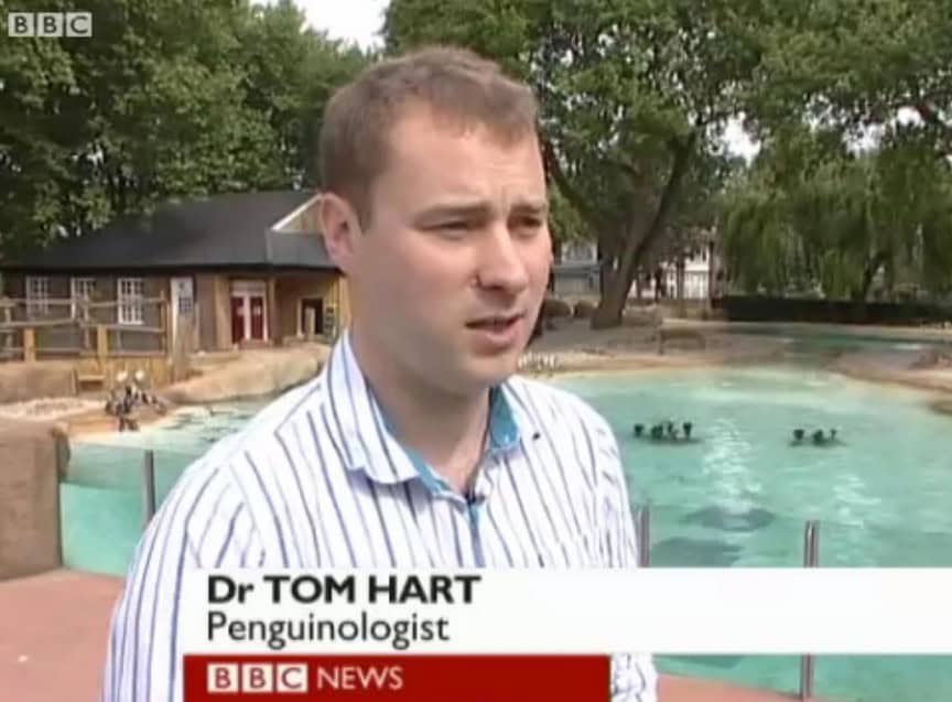 penguinologist
