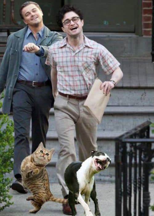 photoshop-done-right
