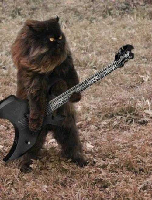 photoshop-funniest-all-time