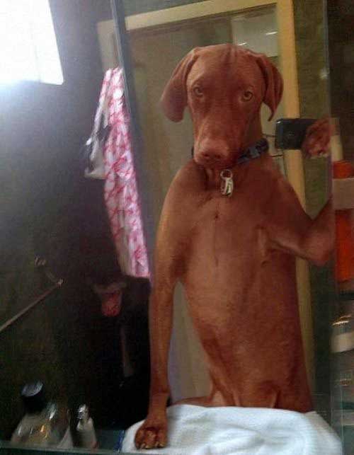 photoshop-selfie