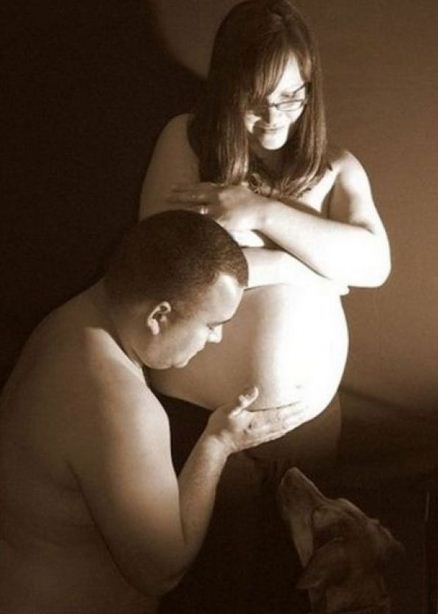 pregnant dog photo