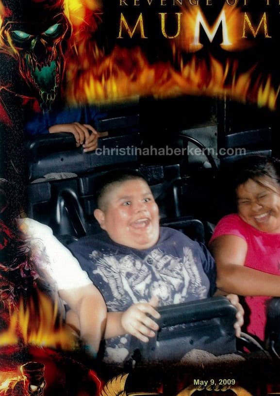 roller coaster bliss