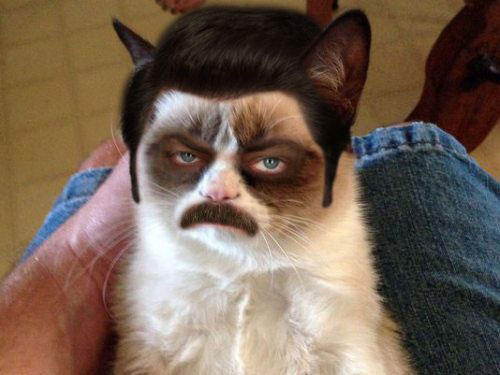 ron-swanson-grumpy-cat